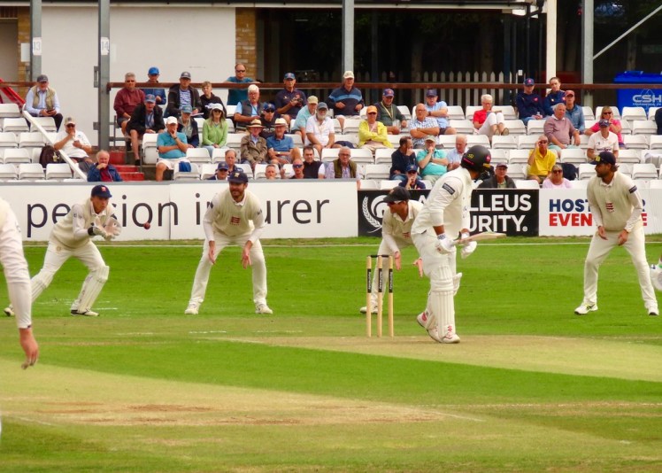 Essex v Sussex