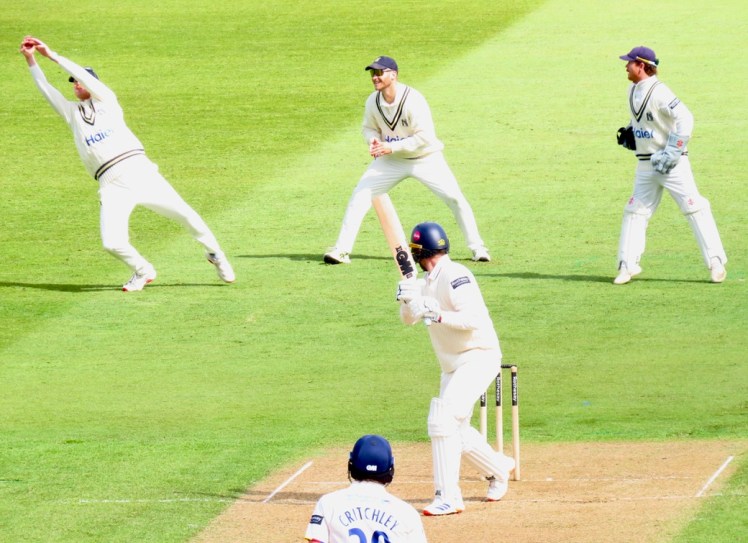 Surrey v Essex